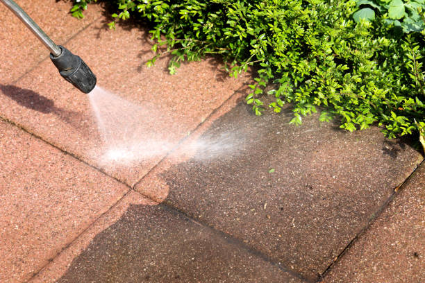 Best Affordable Power Washing  in Crystal Springs, MS